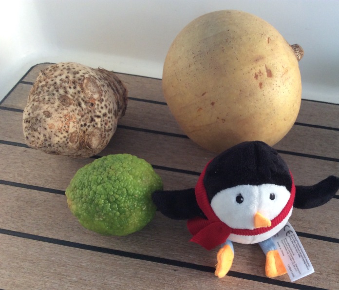 Puffa penguin with an apricot ( believe it or not) a Dasheen and a lemon